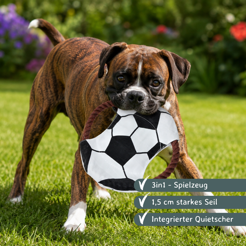 Hundespielzeug Zerrseil Frisbee Ø 22 cm