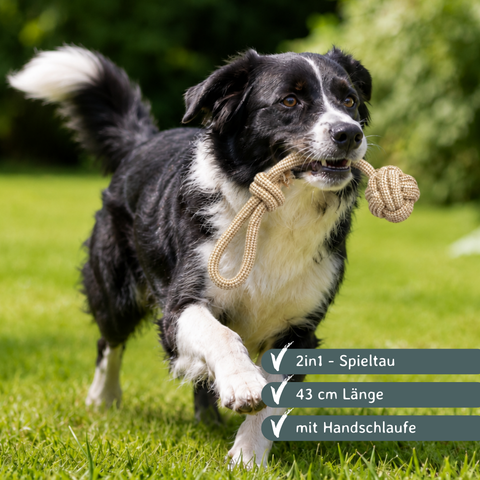 Hunde Spieltau mit Griff 43 cm