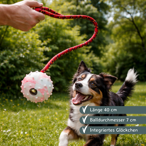 Schleuderball für Hunde