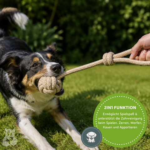 Hunde Spieltau mit Griff 43 cm