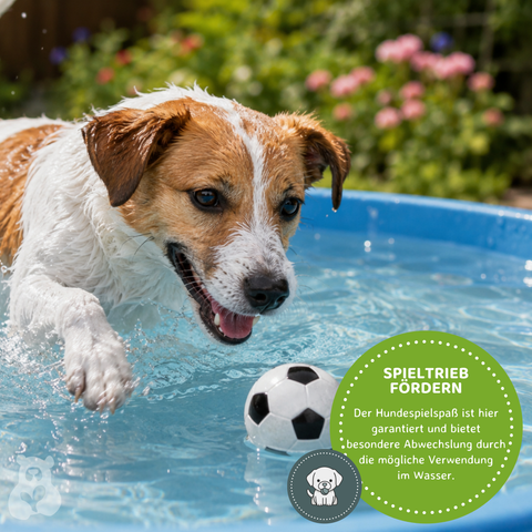 10 er Set Hundespielzeug Moosgummiball 6 cm
