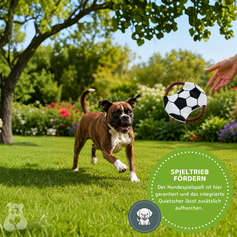 Hundespielzeug Zerrseil Frisbee Ø 22 cm