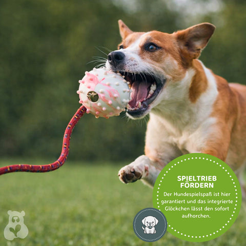 Schleuderball für Hunde