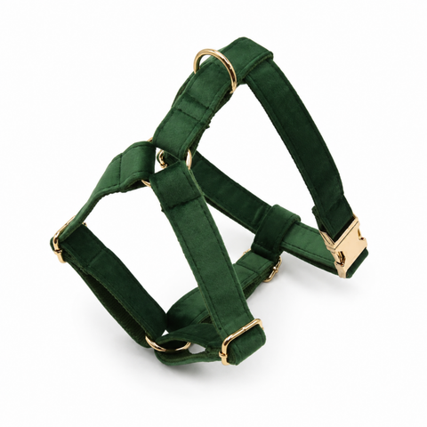 Nanook Signature Hundegeschirr