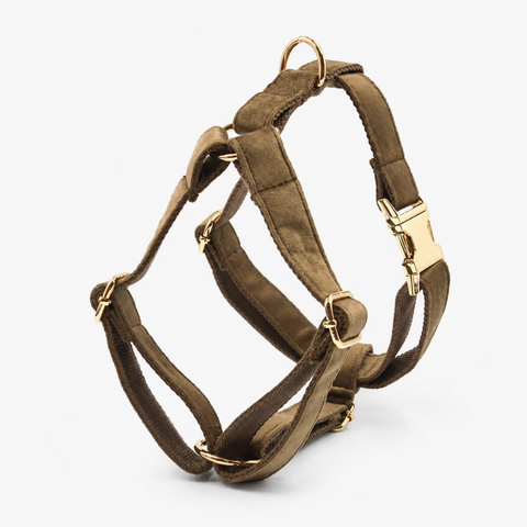 Nanook Signature Hundegeschirr
