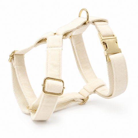 Nanook Signature Hundegeschirr