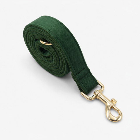 Nanook Signature Hundeleine - 2,5 × 120 cm