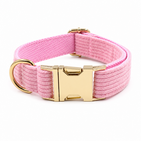 Nanook Signature Hundehalsband