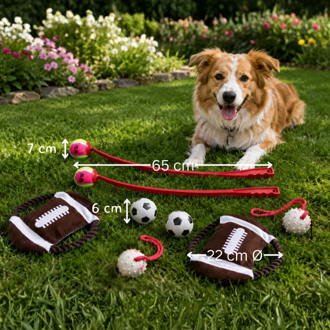 Hundespielzeugset 8-teilig