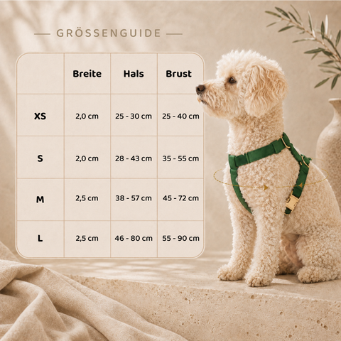 Nanook Signature Hundegeschirr