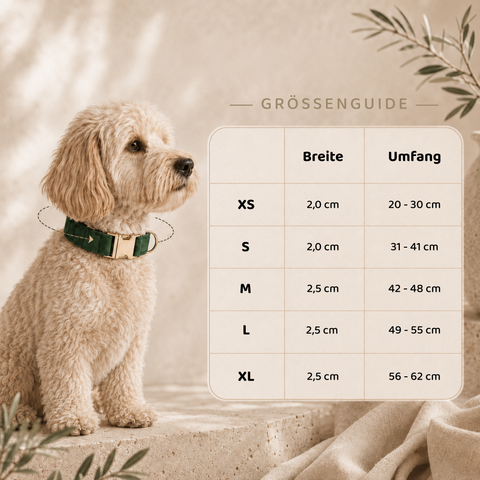 Nanook Signature Hundehalsband