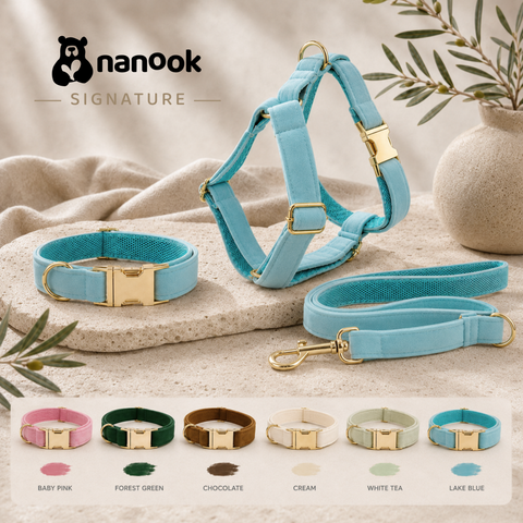Nanook Signature Hundeleine - 2,5 × 120 cm