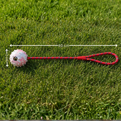 Schleuderball für Hunde