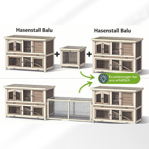 Hasenstall Balu