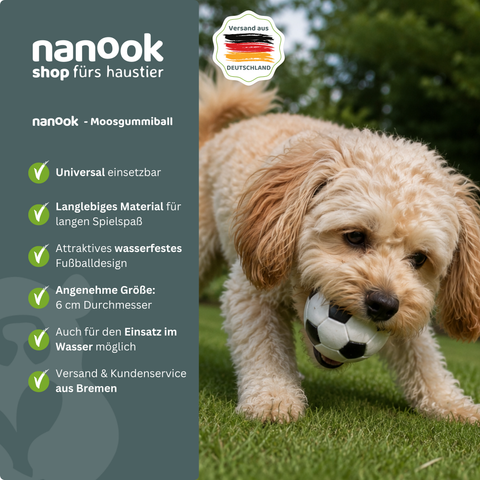 10 er Set Hundespielzeug Moosgummiball 6 cm